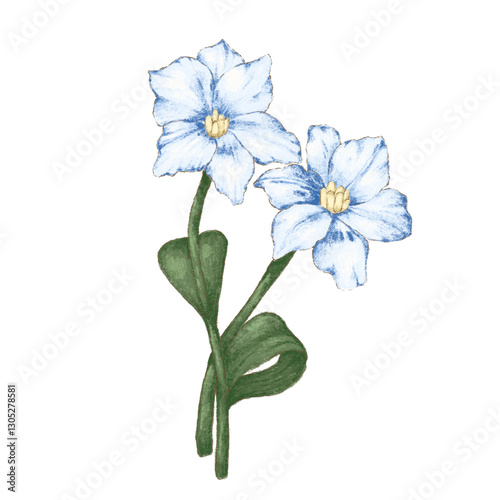 Lilly
