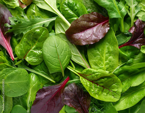 salad leaves texture mixed salad leaves with spinach chard lettuce rucola as a background flat lay top view