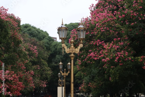 Elegant Brass Street Lighting in Public Square with Pink Blossom Trees in Springtime