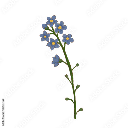 wild flowers