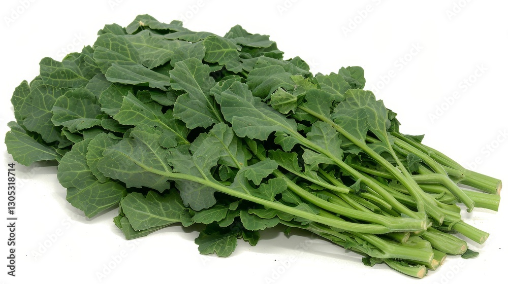Fresh chinese cabbage on a plain white background for culinary inspiration and presentation Fresh chinese cabbage on a plain white background for culinary inspiration and presentation