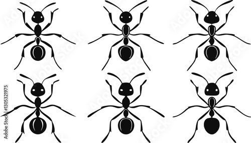 Ant Silhouette Vector Icons