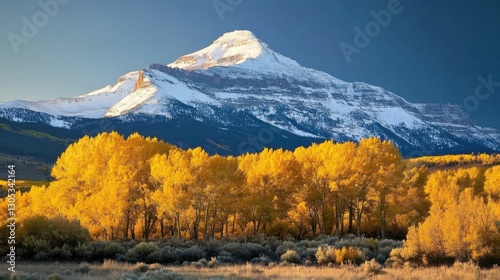 Mount Timpanogos Sunrise: A Snow Covered Peak in Utah with Yellow Light Contrasts photo