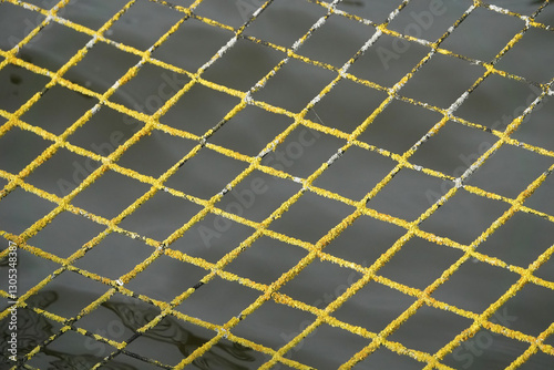 Close up of old netting covered in yellow lichen over water photo