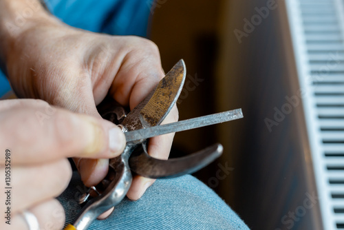 A man sharpens garden pruning shears with a file. Garden tool maintenance
