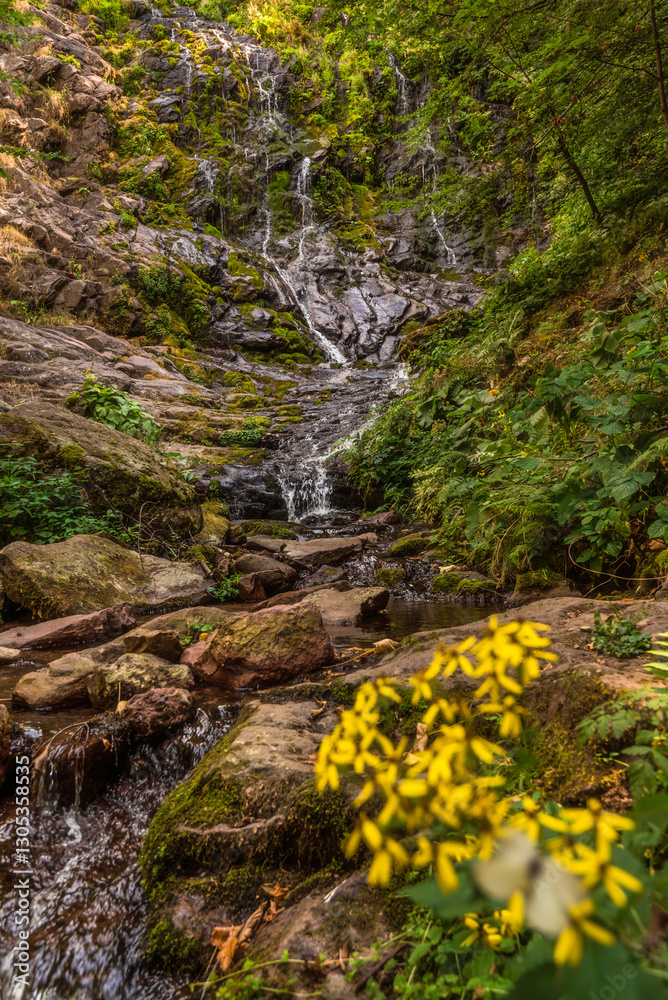 Pilj Cascade Waterfall in Lush Green Forest
