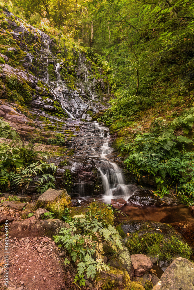 Pilj Waterfall Cascading through Lush Green Forest