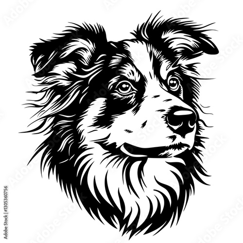 AUSTRALIAN shepherd dog Detailed black and white border collie portrait vector art