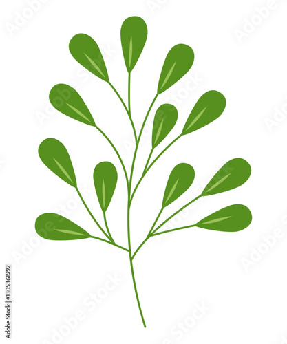 A branch with dark green leaves on a stem from a summer tree. Vector illustration.