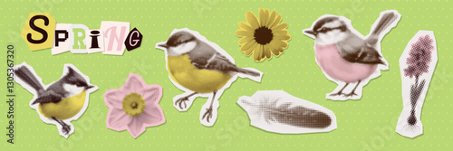 Spring Flowers, titmouse, feather halftone art collage cut outs set. Paper clipping shapes, spring floral stickers, torn paper. Modern retro grunge mixed media vector illustration