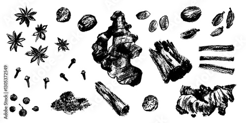 Vector spices drawings in hand-drawn style. Natural paper texture. Organic spice illustrations - clove icon, peppercorns symbol, star anise sketch, nutmeg, ginger root sign, cinnamon, cardamom