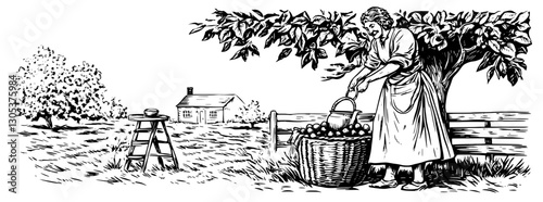 Woman harvesting fruits from a tree while placing them in a basket by the farm in a rural setting