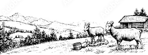 Engraved illustration depicting goats in a mountainous landscape during daylight near a rustic cabin