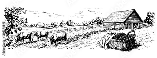 Engraved illustration of cows grazing near a farmhouse with a basket of grapes in the foreground, depicting rural life and harmony
