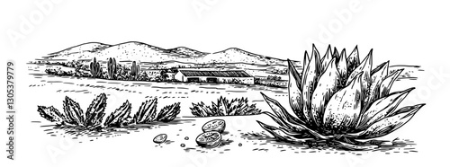 Engraved illustration of a rural landscape with agave plants and distant mountains in a serene setting