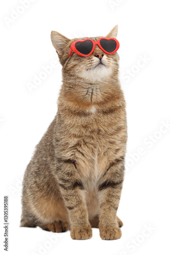 Funny cat wearing red heart-shaped sunglasses. Cool feline posing. Stylish pet with attitude, perfect for humor and lifestyle themes.