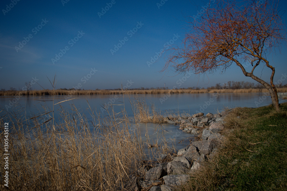 Obraz premium river in winter
