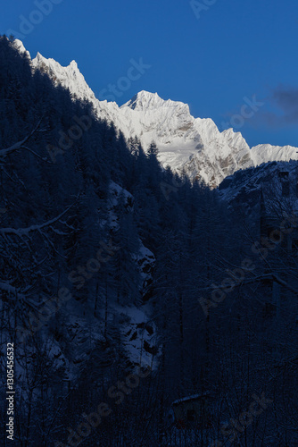 snow-covered slope with dangerous peaks is illuminated by the morning sun against the blue sky. In front of the snow-covered peaks, you can see a dark forest located in the shadow of nearest mountains