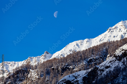 A horizontal picture of a mountain slope in the Alps, taken early in the morning, with snow-covered peaks above a frozen forest. The Moon is hanging over the mountain tops