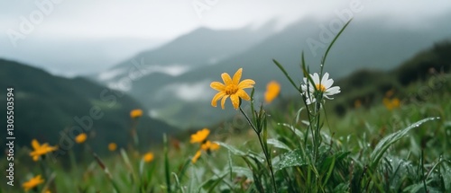 Dew-kissed wildflowers dot a misty mountaintop meadow, capturing a moment of untouched serenity with distant hills veiled in soft fog. photo