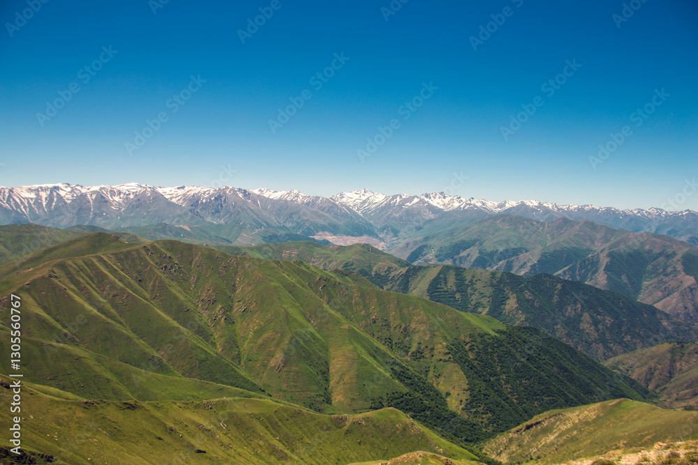 Fototapeta premium mountain landscape pine trees near valley and colorful forest on hillside under blue sky