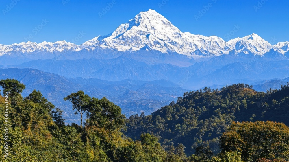 Snow capped mountains and lush green forest sit together Snow capped mountains and lush green forest sit together