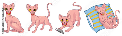 Sphynx Cat Collection: A collection of Sphynx cats in various poses, exuding charm and unique allure, set against a clean backdrop, showcasing their distinctive features and expressive eyes. 