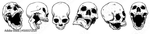 Skeletal Spectrum: A series of detailed illustrations showcasing a variety of human skulls, rendered in a stark black-and-white aesthetic, each presenting a different angle and expression.