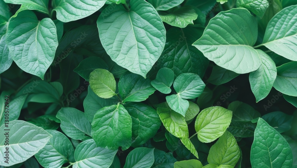 Lush Green Leafy Background with Varied Leaf Shapes and Textures Lush Green Leafy Background with Varied Leaf Shapes and Textures