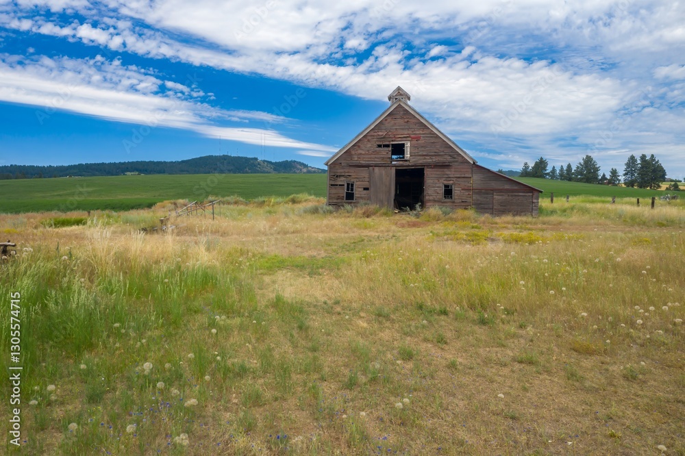 An old barn stands in a field of wheat in the Valleyford, the Palouse region of Washington State, USA. The barn is weathered and worn, but it still stands tall against the landscape. An old barn stands in a field of wheat in the Valleyford, the Palouse region of Washington State, USA. The barn is weathered and worn, but it still stands tall against the landscape.