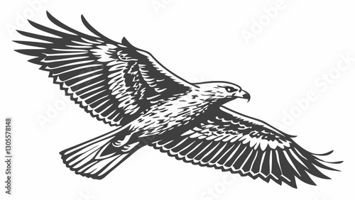 Detailed black and white vector illustration of a soaring hawk in flight, nature art
