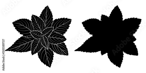 Mint leaves, peppermint, herbaceous plant for tea, black silhouette
