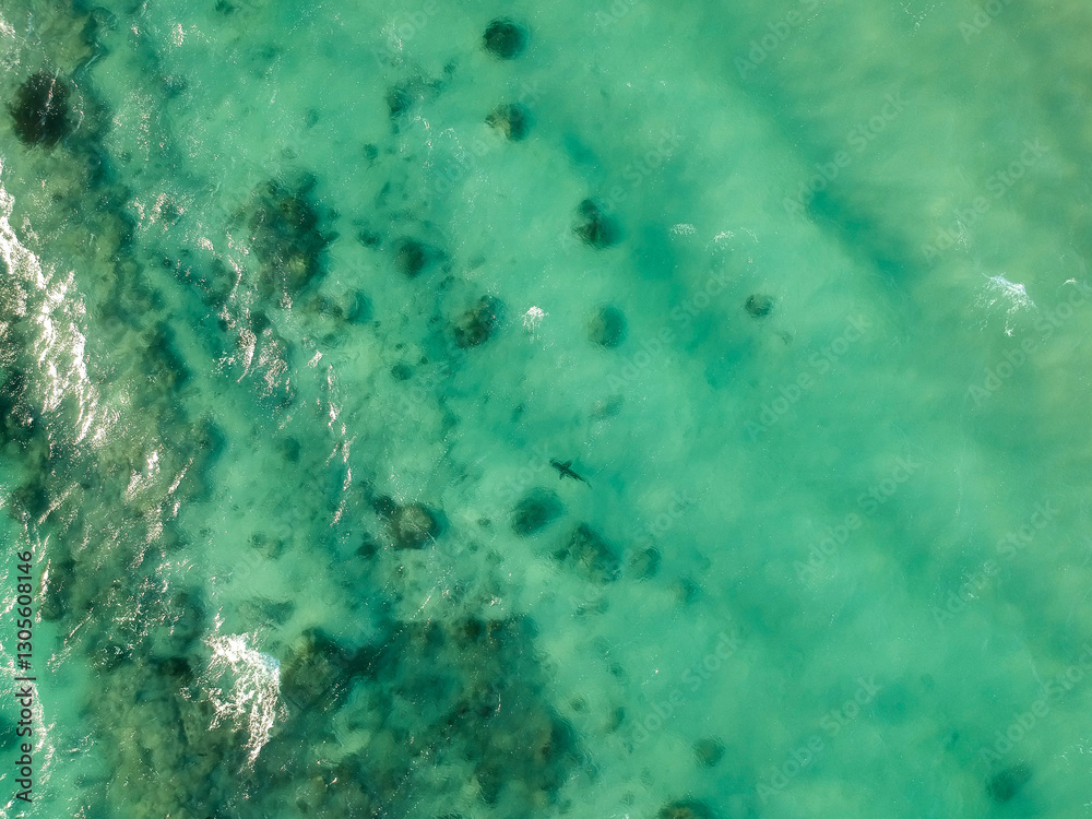 Fototapeta premium aerial view of the ocean in western australia