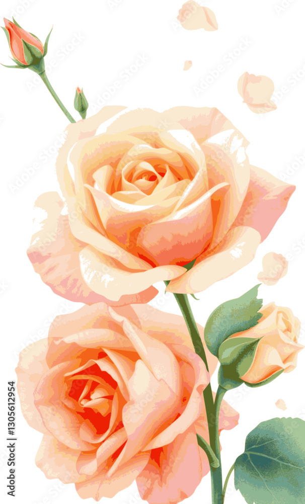 Peach garden rose in watercolor style delicate and romantic floral art. Peach garden rose in watercolor style delicate and romantic floral art.