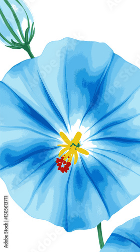 Morning glory flower in watercolor style vibrant blue botanical illustration.