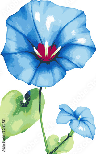 Morning glory flower in watercolor style vibrant blue botanical illustration.