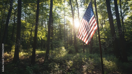 American flag in forest with sunlight filtering through trees, soft natural light, deep green and blue tones, and calm reflective atmosphere, wide-angle shot.