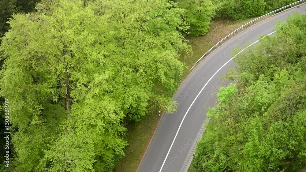 Curvy road surrounded by lush greenery in a vibrant forest during daytime Curvy road surrounded by lush greenery in a vibrant forest during daytime
