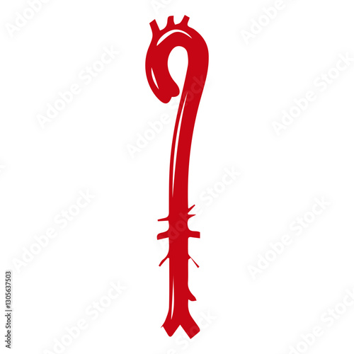 aortic blood vessels colored icon