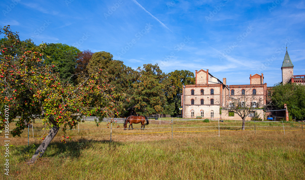 Fototapeta premium Mühle Meisdorf Selketal Harz