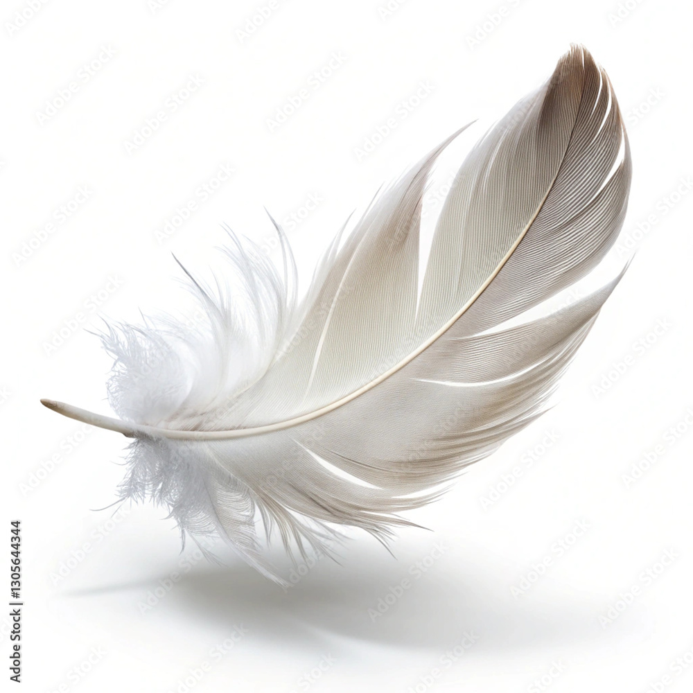 Obraz premium Floating feather symbolizing lightness and freedom