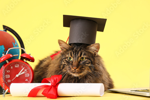 Cute cat with graduation ha...