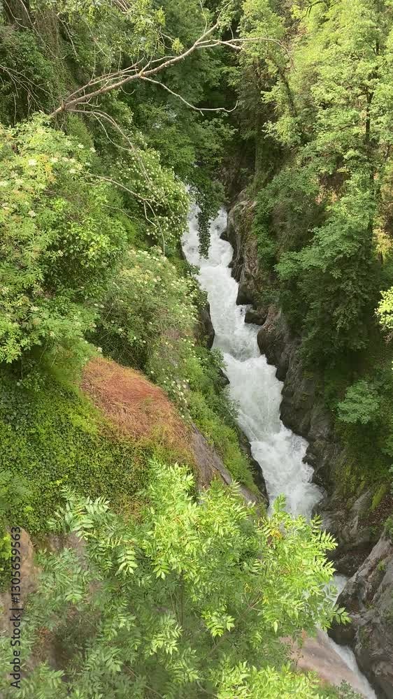River rushing through a green gorge (vertical) River rushing through a green gorge (vertical)