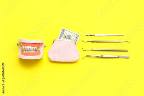 Jaw model with braces, dent...
