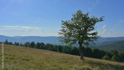 Blick von der Straße, Route des Cretes, auf die Landschaft im Sommer, Metzeral, Vogesen, Oberrhein, Frankreich
 photo