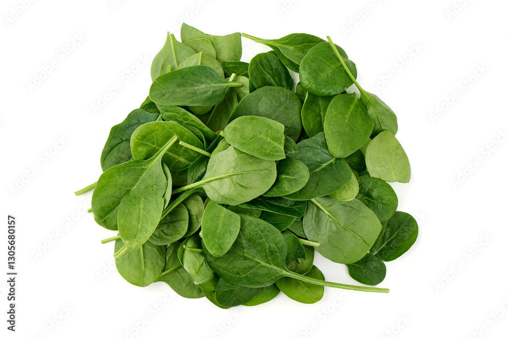 Fresh Spinach Leaves, Isolated on White Background. Fresh Spinach Leaves, Isolated on White Background.
