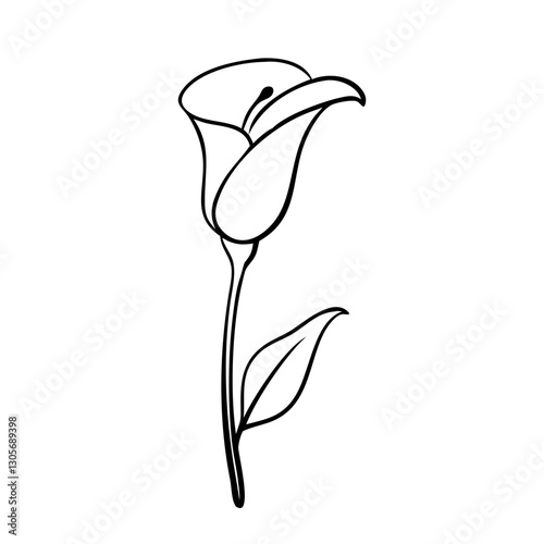 a single elegant lily in black and white outline. It's a simple yet graceful representation of a flower, suitable for various design uses. vector illustration