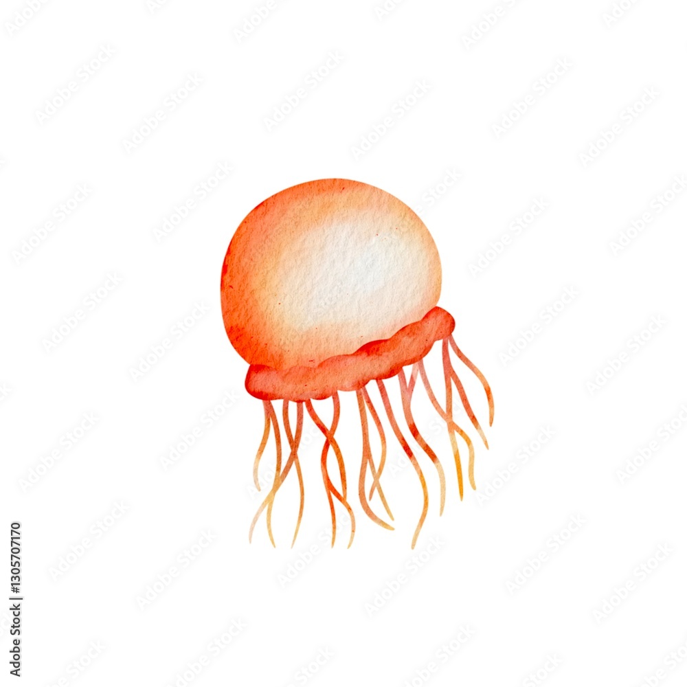 Fototapeta premium A watercolor Jellyfish, isolated on a white background. Jellyfish vector.