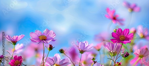A stunning landscape features a wild meadow garden teeming with vibrant, blossoming spring or summer flowers, illuminated by the warm sun and the azure sky