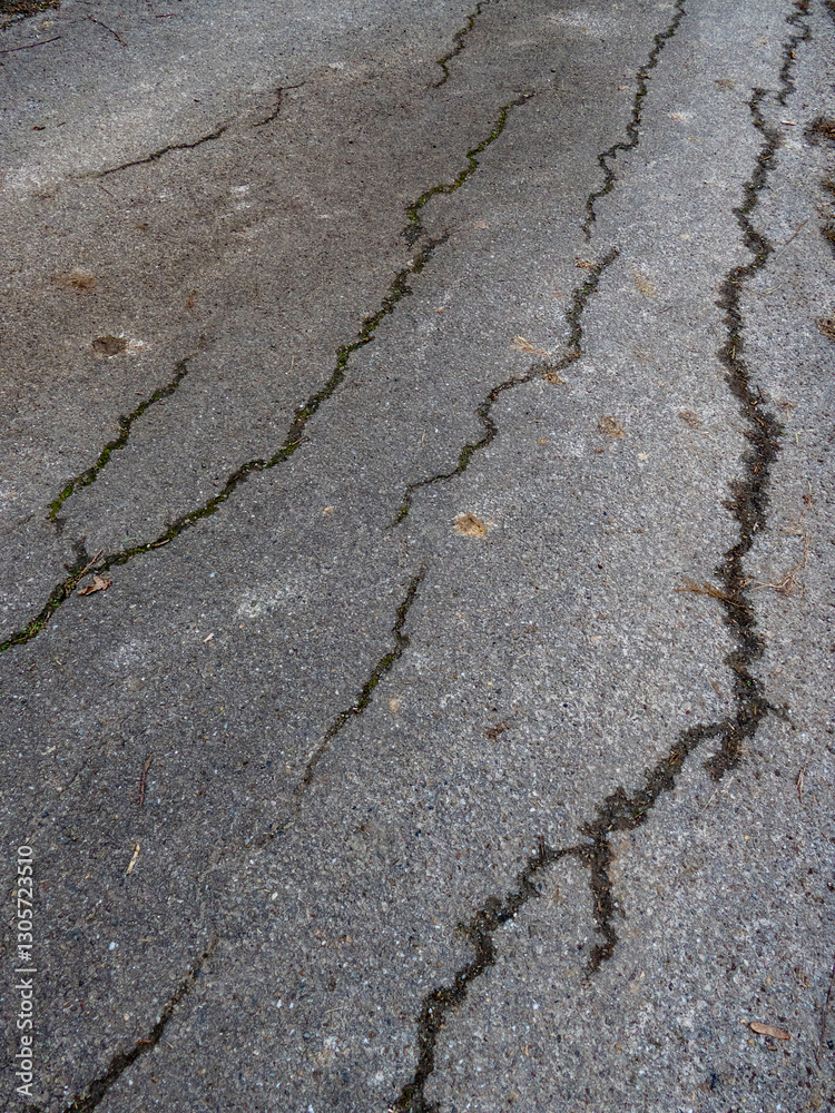Fototapeta premium Strassenschäden
